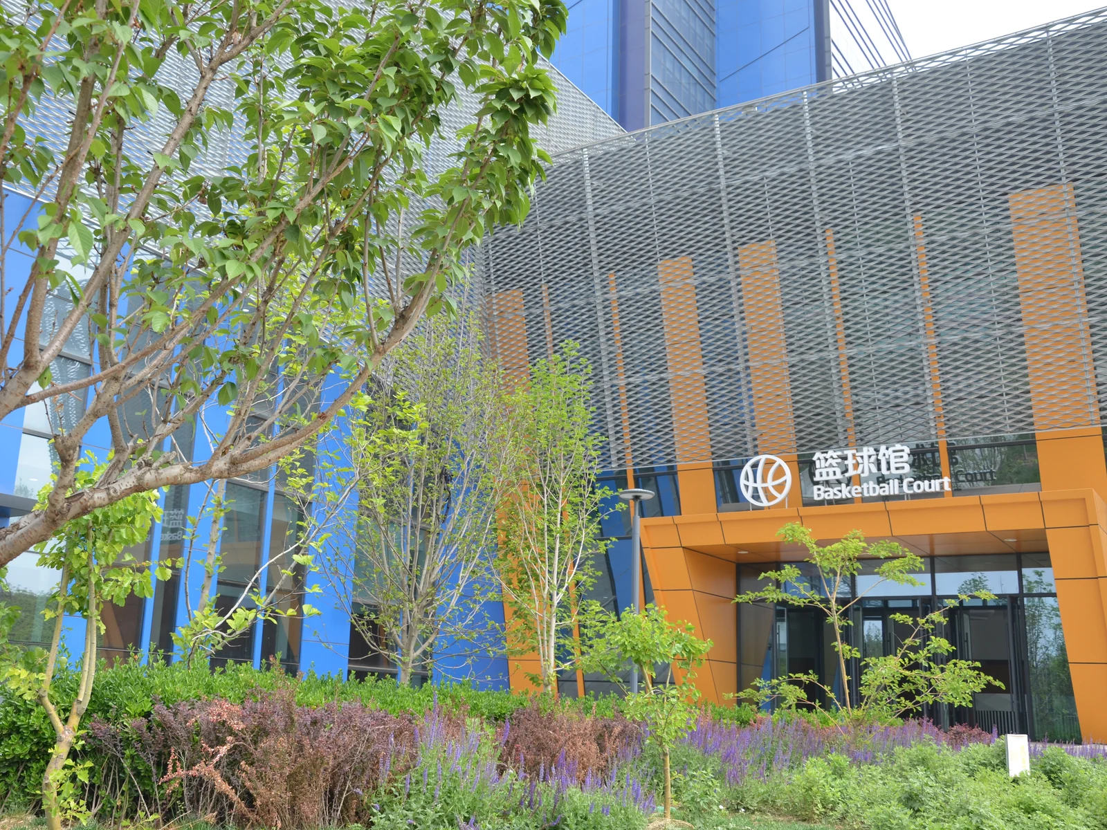 Expanded metal screening panels above a commercial entrance with a tree in the foreground